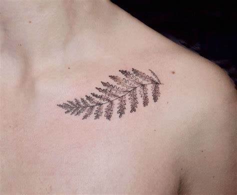 small fern tattoo|silverback tattoo fern.